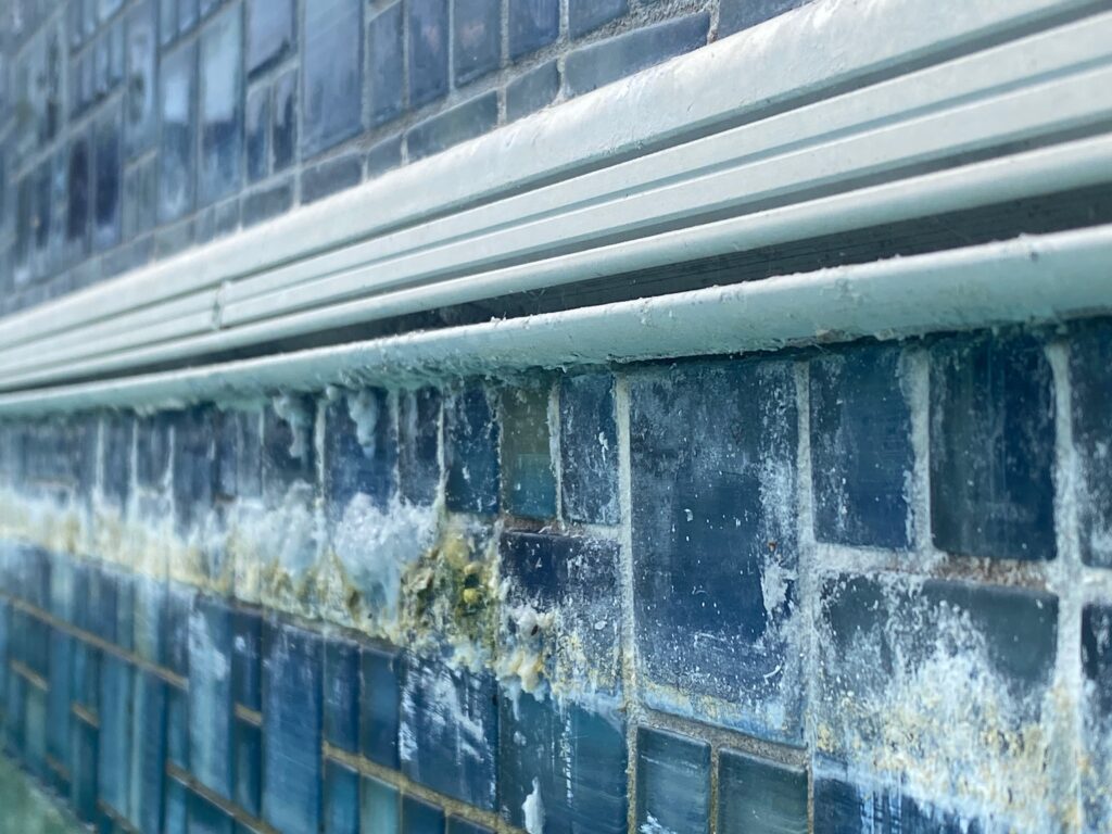 Tight before photo of heavy white calcium scale on glass waterline tile